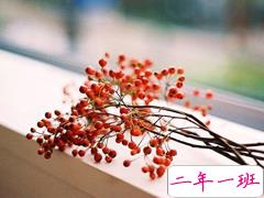 文字控喜欢的温暖的说说 你一句温暖的话可抵外面的风霜雪雨