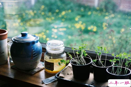 关于生活和成长的有哲理内涵的精辟美好的小句子1