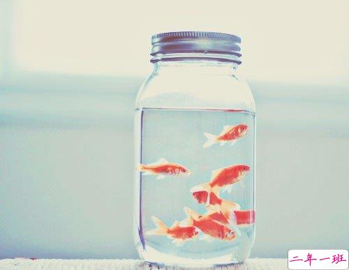 适合心情不好心累时候发的说说 拥抱过后双手应该放在哪里2