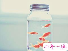 适合心情不好心累时候发的说说 拥抱过后双手应该放在哪里