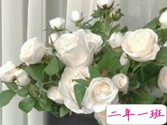 为什么会有，越喜欢一个人越远离Ta，这种心态？