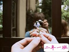 那些温柔了一整个年岁的唯美小清新句子 朝露昙花咫尺天涯