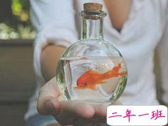 那些一眼就惊艳了你的唯美句子 唯愿你年年如意岁岁平安