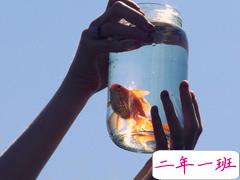 40条简单又富有哲理的人生句子 哪一条是你最需要的呢