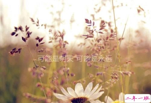 晚安心语优美的语句简短精选 适合发朋友圈的晚安心语2