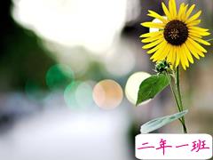 每日情感语录晚安心语精选：该失望的事从来没有辜负过我