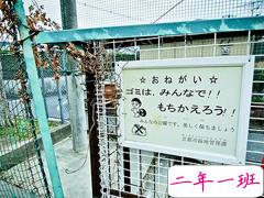 唯美情感心语语录精选：马不停蹄，生生不息的去见你