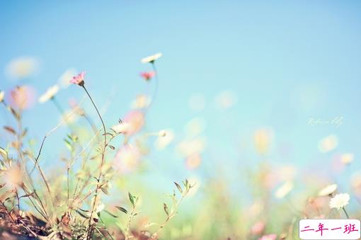 有意境文艺范的句子说说 超好听的唯美意境说说大全1