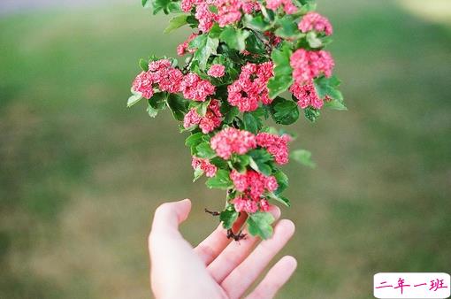 有意境文艺范的句子说说 超好听的唯美意境说说大全2