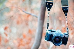 有意境文艺范的句子说说 超好听的唯美意境说说大全