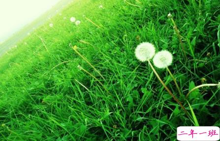 我的文字永远不会火，就像他永远不爱我1