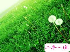 我的文字永远不会火，就像他永远不爱我