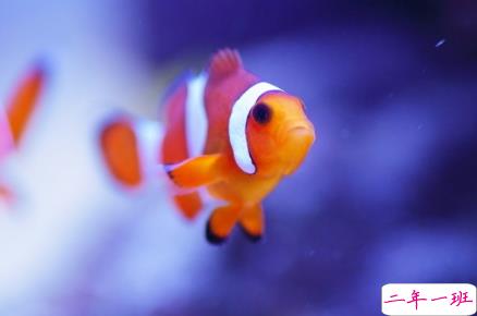 关于网恋奔现后失恋的说说大全 一段奔现就结束的感情1