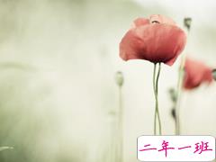 微信说说一个人心情短语精选:感情这事我不愿将就