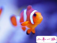 关于网恋奔现后失恋的说说大全 一段奔现就结束的感情