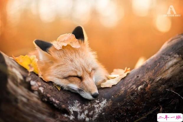 海是倒过来的天，你是我唯一的泪点2