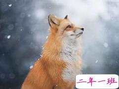 海是倒过来的天，你是我唯一的泪点