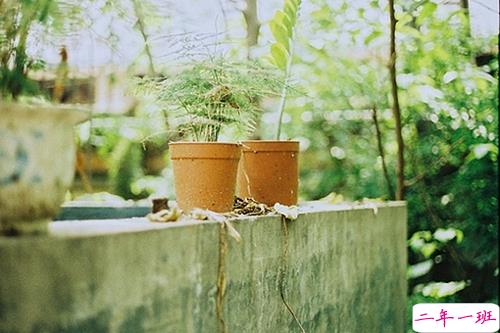 表达心情的说说句子大全：我拥有她的曾经却错过了她的未来2