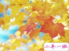 女生心情说说大全：长大真的很没意思，连快乐都裹着一层苦