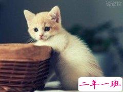 快手心情说说短语：你是自由风无法将你圈养，我却妄想把你撩上