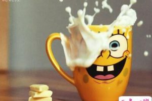 2018最新心情说说，心情语录2018