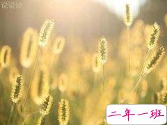 心情说说致自己，致自己的句子说说