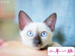 QQ心情说说:彼此说话客气点,我没你想的那么善解人意