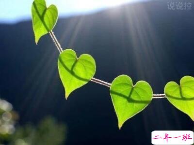 唯美心情说说，唯美心情句子