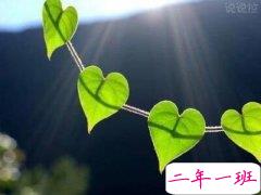 唯美心情说说,唯美心情句子