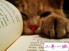 不想开学的说说，讨厌开学的说说