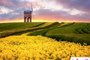 生活说说很现实,生活说说心情短语