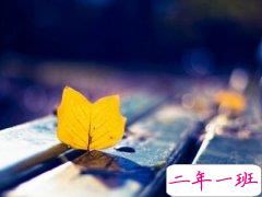 女生说说心情短语：有些相遇就是一场误会，失去就该庆幸