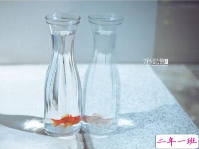 心情说说很现实