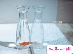 心情说说很现实：你这么善解人意，一定遇到过很多不讲道理的人吧