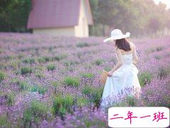 心情文字短句：你没有如期归来，而这正是离别的意义