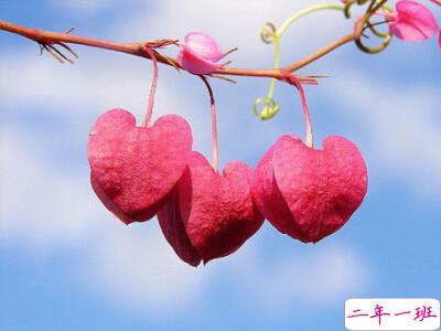 心情短句子大全