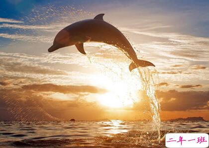 有哲理的长说说，富有哲理的长句子