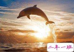 有哲理的长说说，富有哲理的长句子