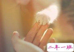 转发过万的说说：你的一生我只借一程，这一程便是余生