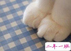 适合发说说的句子：很多事没有来日方长，很多人只会乍然离场