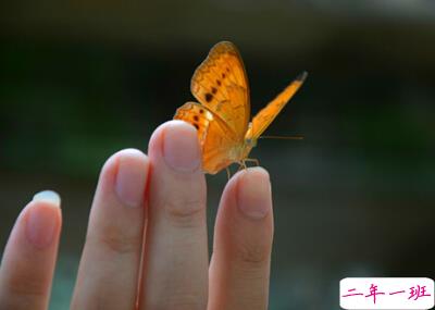 QQ空间说说心情短语1