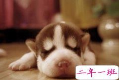 犀利的心情短语：学霸们用一晚上写的作业，学渣们一个早读就搞定