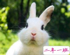 关于暑假的空间说说：暑假作业我已经放阳台上了，台风你看着办吧