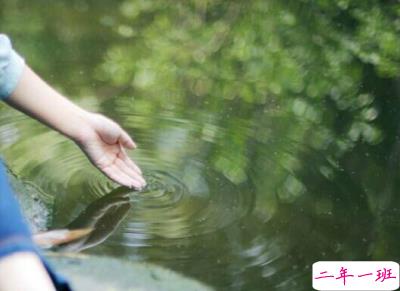 心情短语人生感悟2