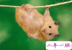 时尚的QQ说说:什么时候你回我的消息,能像自动回复一样快