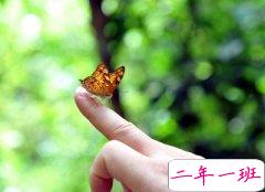 心情说说大全：学校最大的错误是让一群更年期来管我们这些青春期