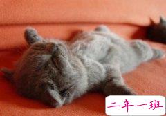 最火的QQ说说：不管成绩多烂也要笑的灿烂，这就是一个学渣的尊严