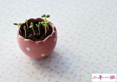 说说图片加文字6