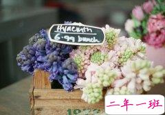 好看的说说图片：所有的事都能好了伤疤忘了疼，唯独爱情不行