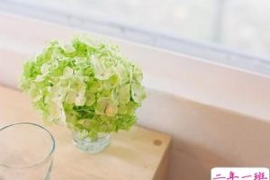 有图片的心情短语:闺蜜,待你婚纱落地,我必短裙相配